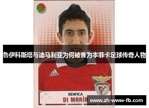 鲁伊科斯塔与迪马利亚为何被誉为本菲卡足球传奇人物 鲁伊科斯塔与迪马利亚为何被誉为本菲卡足球传奇人物