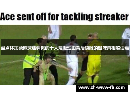 盘点林加德遭球迷调侃的十大荒诞理由背后隐藏的趣味真相解读篇