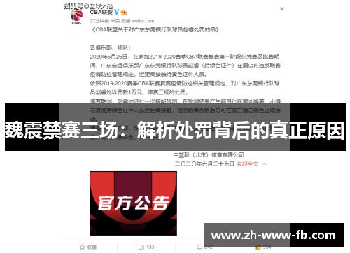 魏震禁赛三场:解析处罚背后的真正原因 魏震禁赛三场:解析处罚背后的真正原因