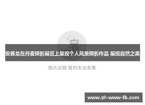 安赛龙在丹麦摄影展览上呈现个人风景摄影作品 展现自然之美